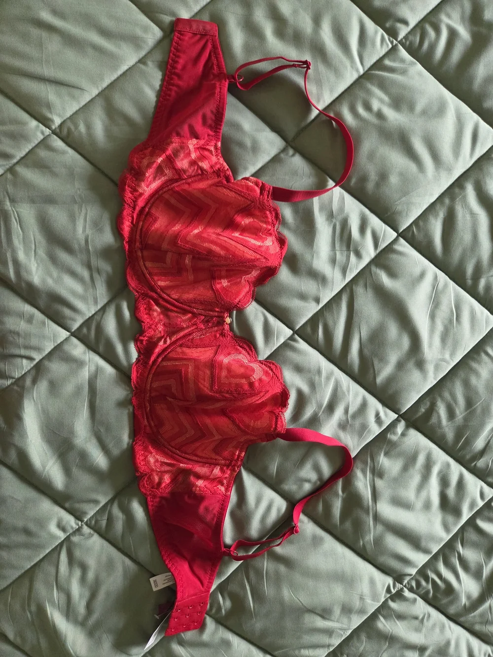 Adore Me Red Lace Underwire Longline Bra
